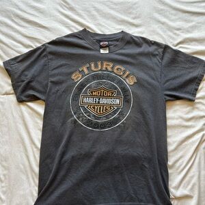Harley-Davidson Gray Short Sleeve Tee with Vintage Graphics